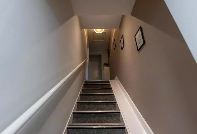 The Hive Apartment