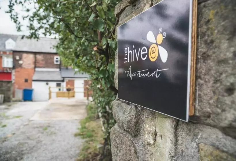 The Hive Apartment