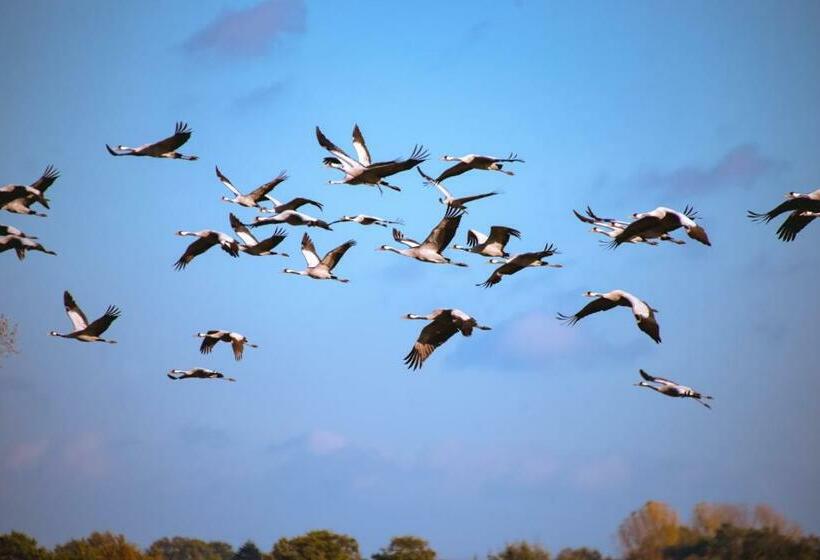 Schlafen Wie Zuhause Monteur Und Ferienwohnungen Rahden
