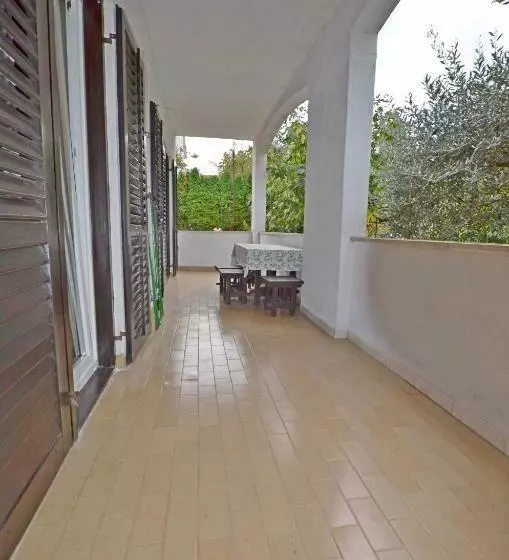 Apartment Velimir