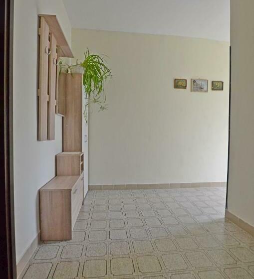 Apartment Velimir