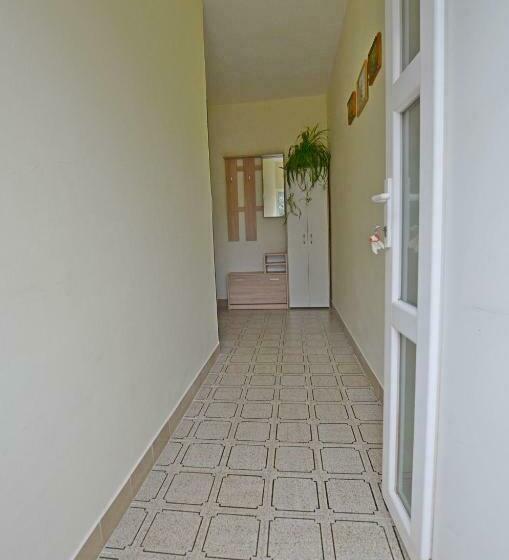 Apartment Velimir
