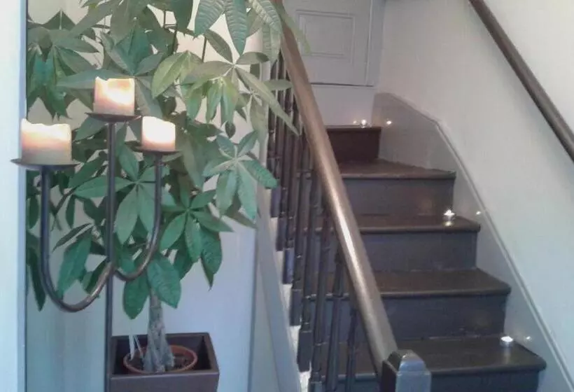 Guest House Antero De Quental