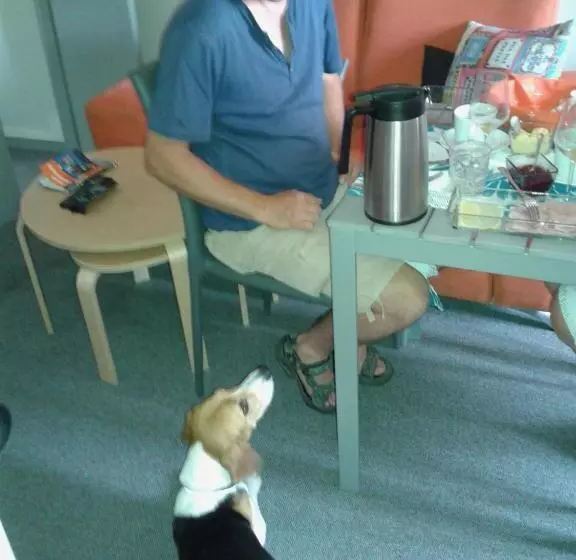 Guest House Antero De Quental