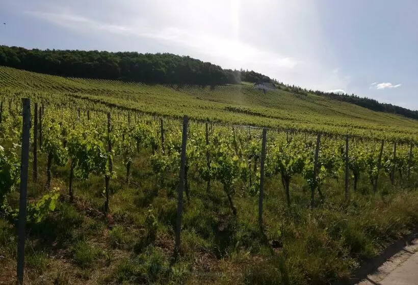 Ferienwohnungen   Moselblick