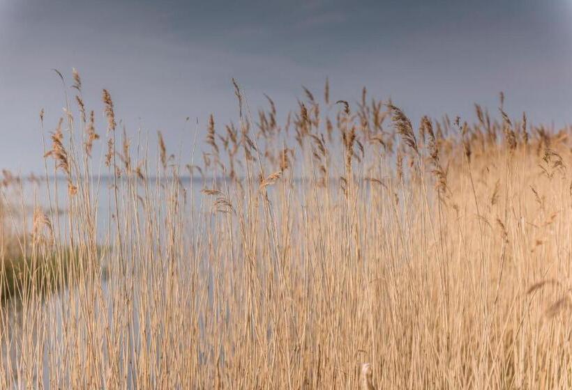 Kamphof Usedom Ferienanlage