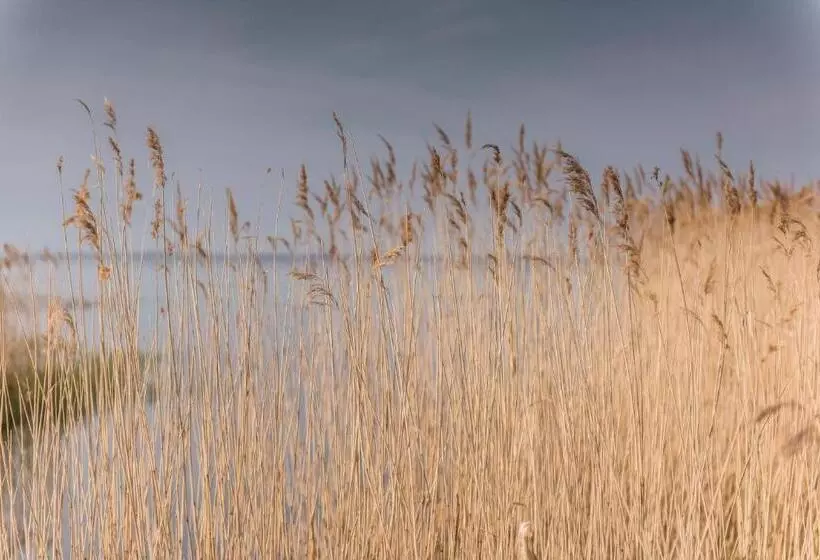 Kamphof Usedom Ferienanlage
