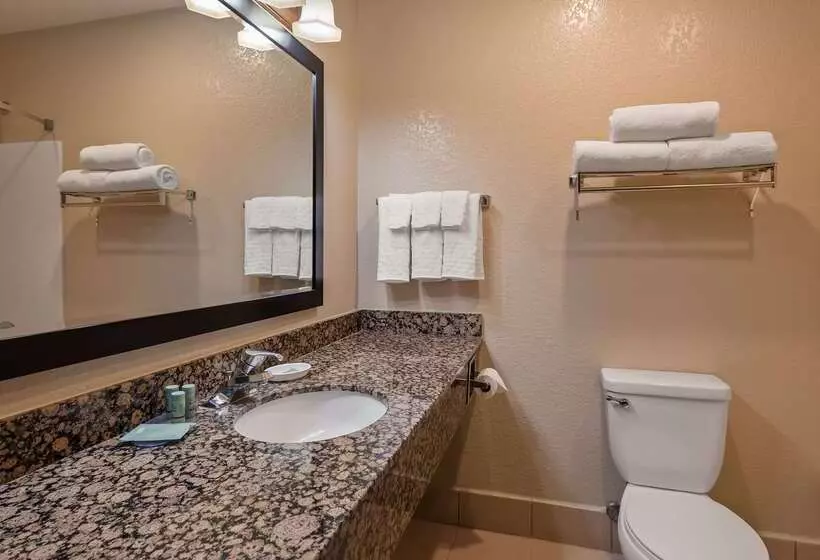 ホテル Best Western Apache Junction Inn