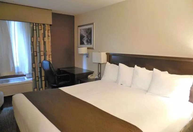 Отель Best Western Cottage Grove Inn