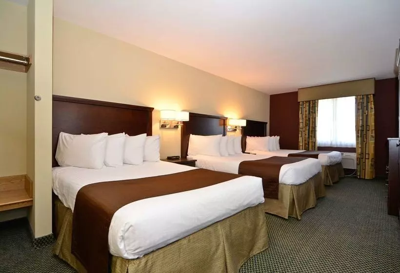 Отель Best Western Cottage Grove Inn