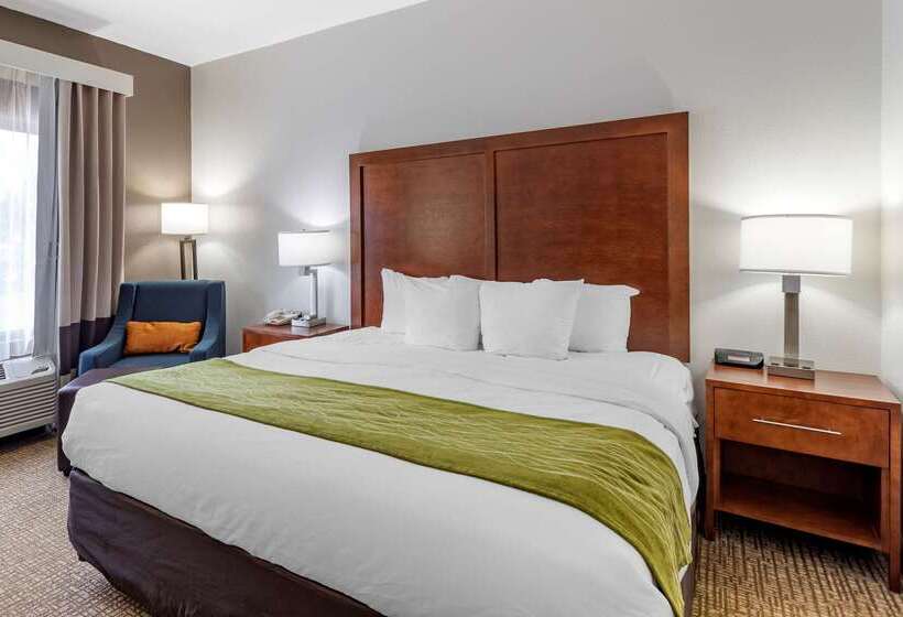 호텔 Comfort Inn Brownsville I40