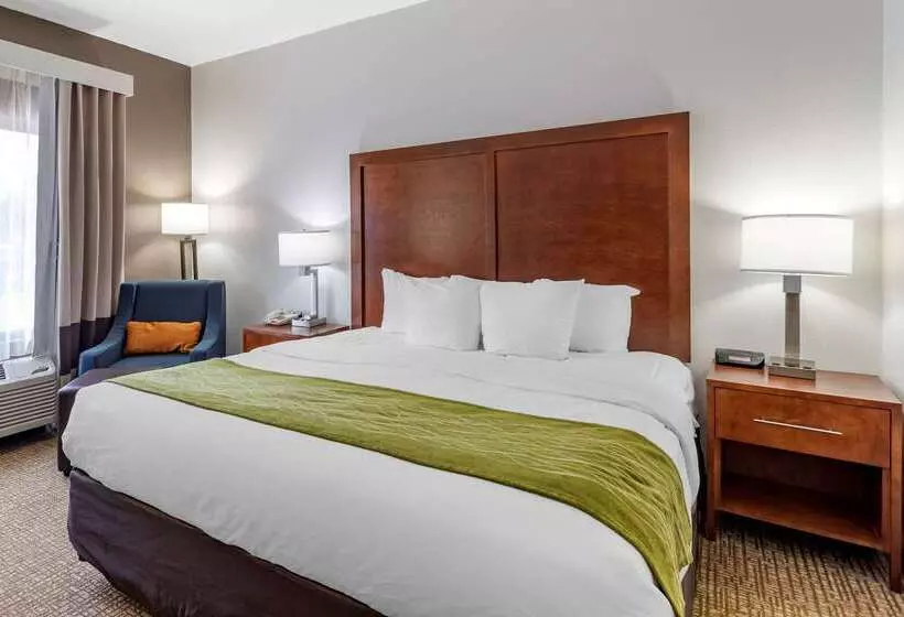 فندق Comfort Inn Brownsville I40