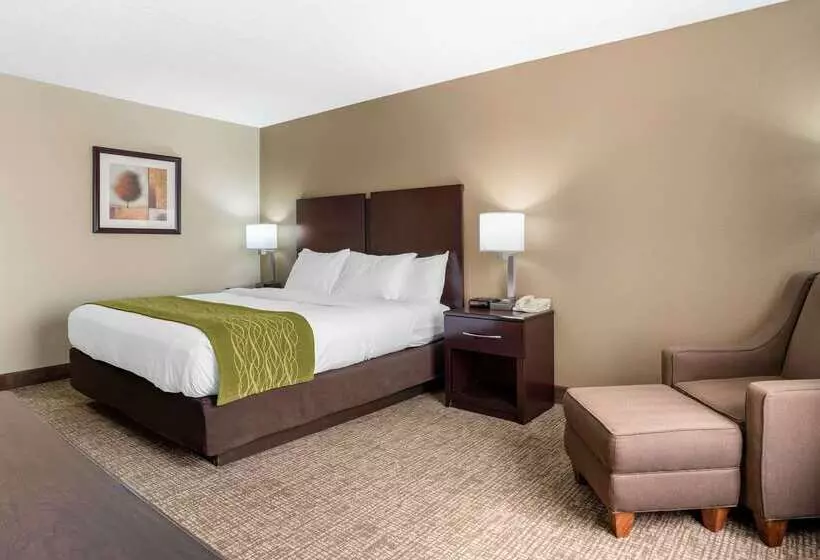 هتل Comfort Inn Pearl Jackson