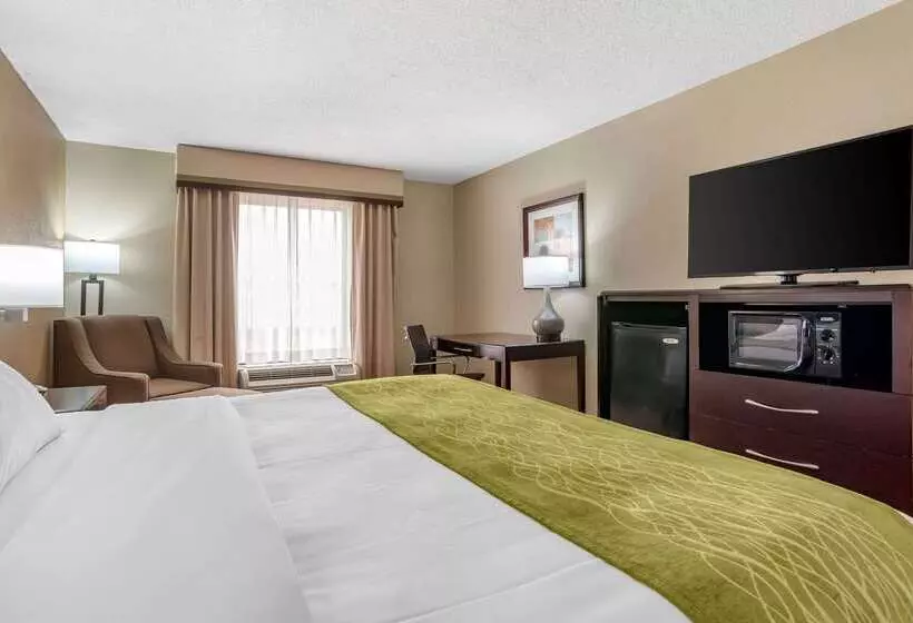 هتل Comfort Inn Pearl Jackson