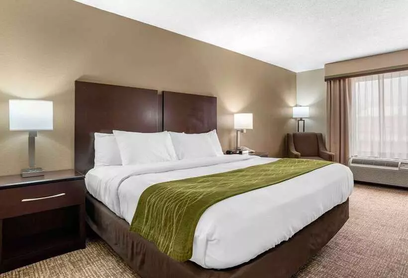 هتل Comfort Inn Pearl Jackson