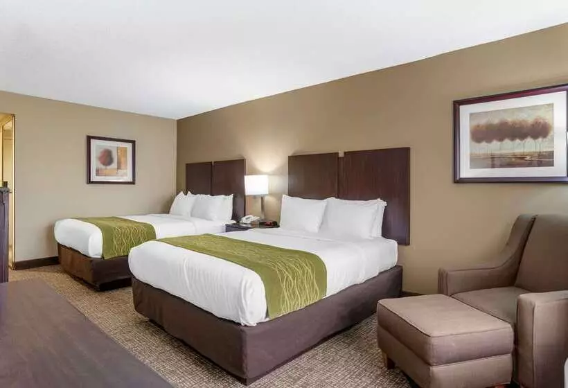هتل Comfort Inn Pearl Jackson
