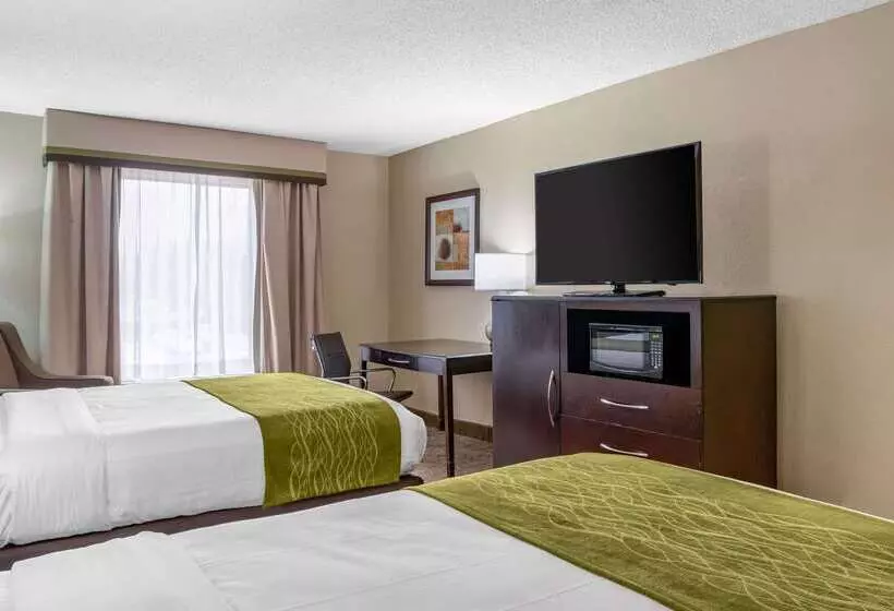 هتل Comfort Inn Pearl Jackson