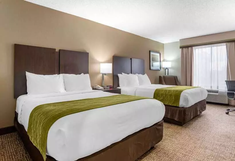 هتل Comfort Inn Pearl Jackson