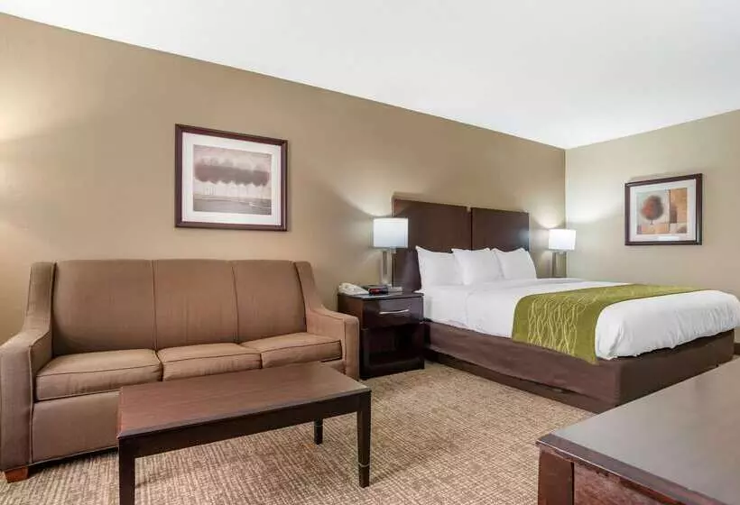 هتل Comfort Inn Pearl Jackson