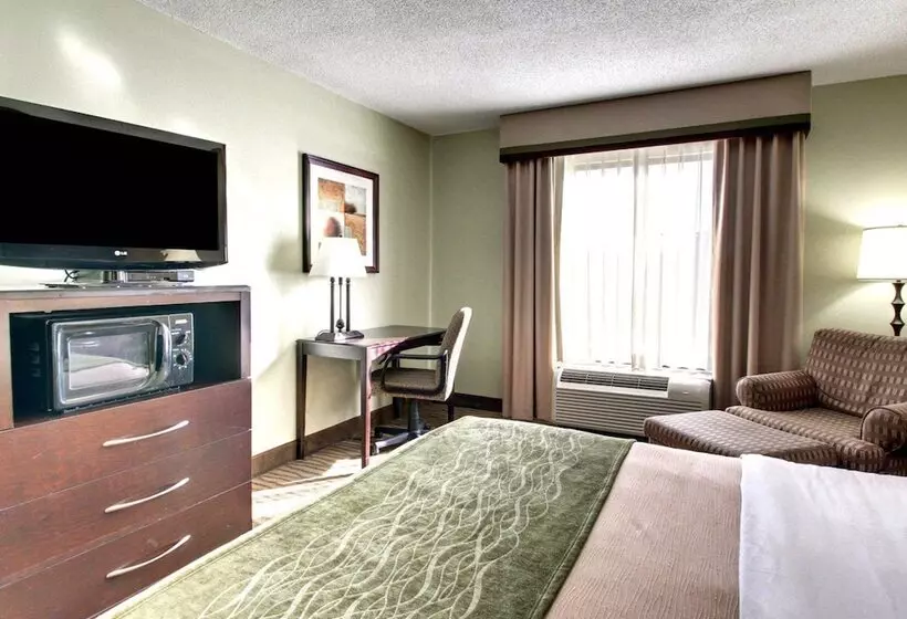 هتل Comfort Inn Pearl Jackson