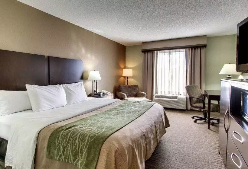 هتل Comfort Inn Pearl Jackson