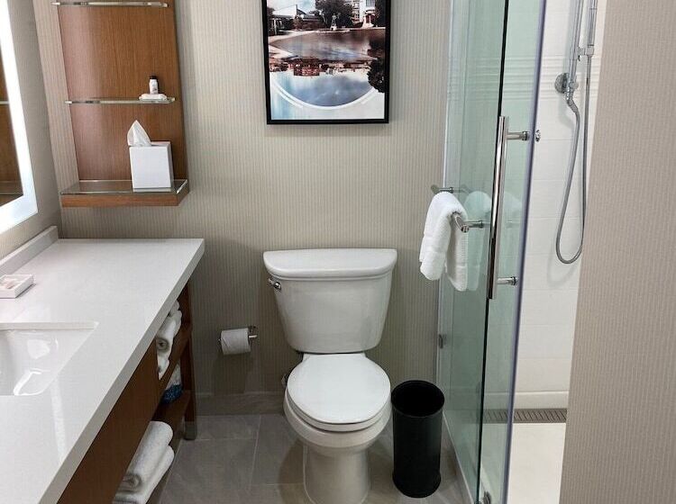 Delta Hotels By Marriott Allentown Lehigh Valley