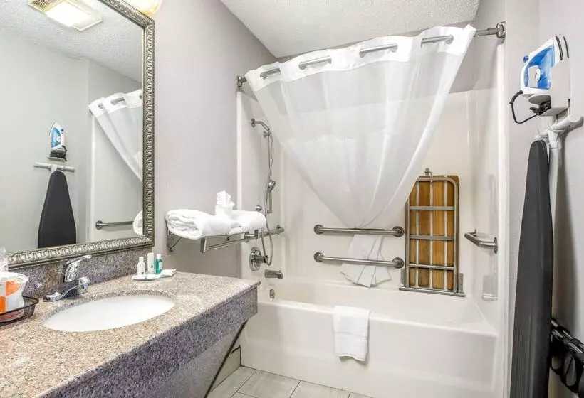 Отель Quality Inn & Suites
