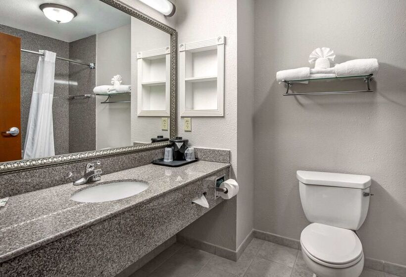 فندق Quality Inn & Suites