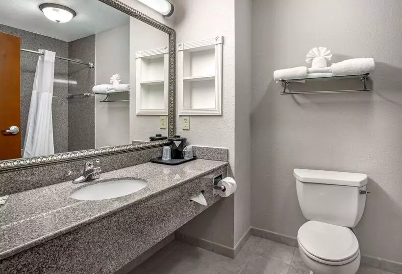 Отель Quality Inn & Suites