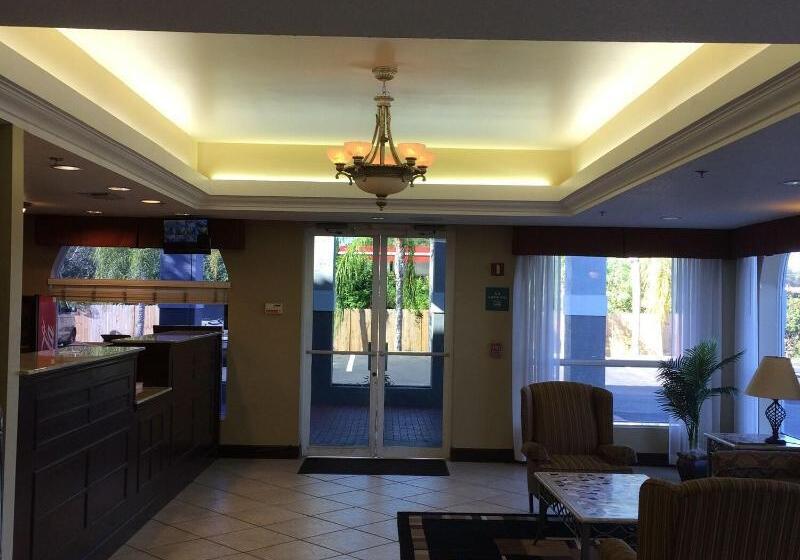 ホテル Ruskin Inn Tampasun City Center