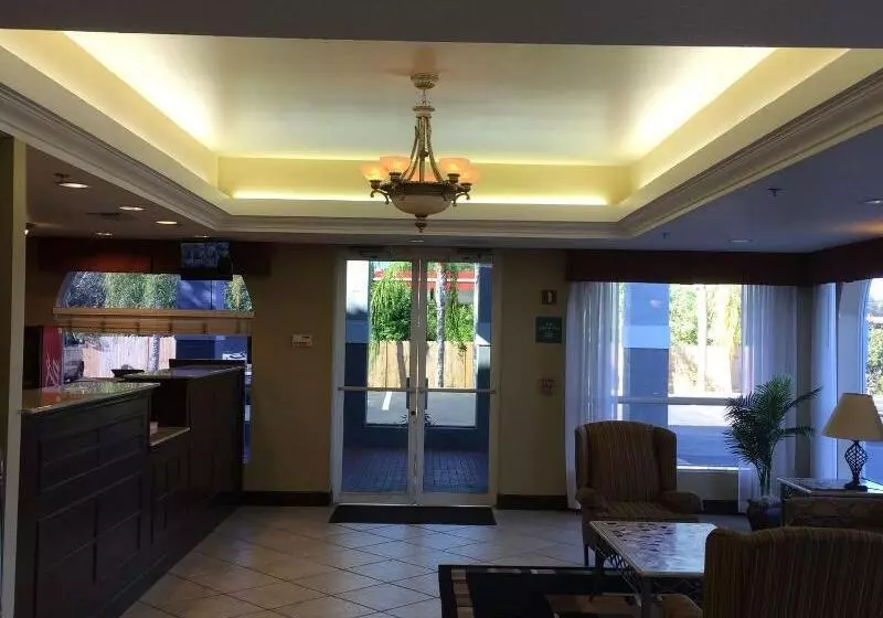 酒店 Ruskin Inn Tampasun City Center