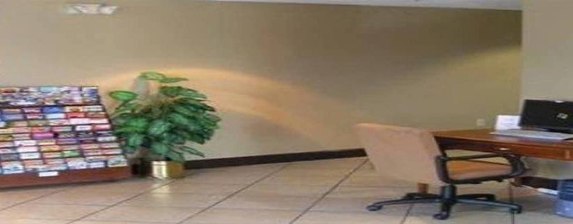 ホテル Ruskin Inn Tampasun City Center