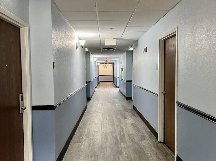 ホテル Ruskin Inn Tampasun City Center