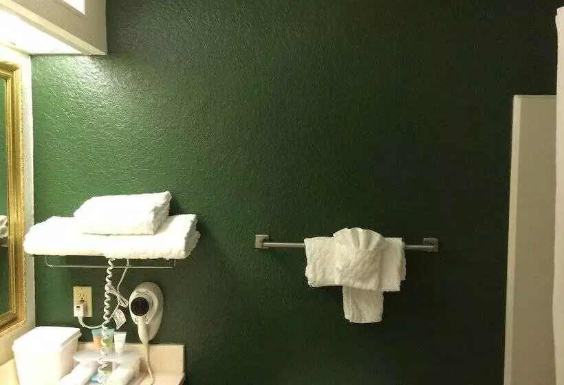 酒店 Ruskin Inn Tampasun City Center