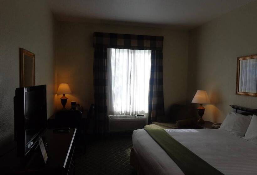 ホテル Ruskin Inn Tampasun City Center