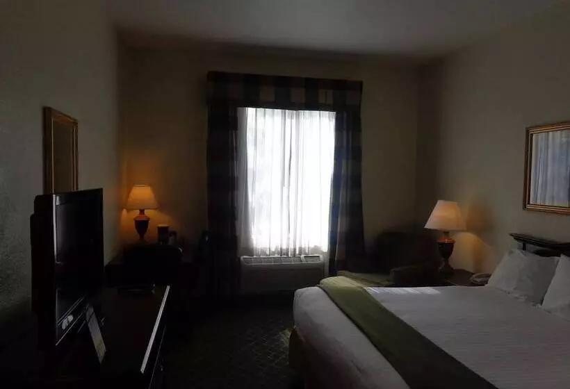 酒店 Ruskin Inn Tampasun City Center