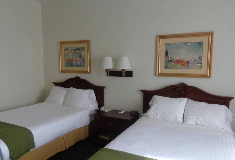 ホテル Ruskin Inn Tampasun City Center