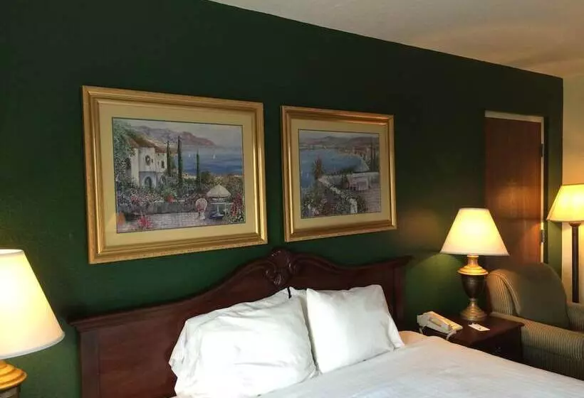 酒店 Ruskin Inn Tampasun City Center