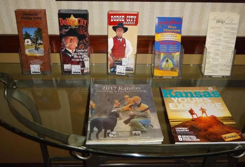 호텔 Windsor Inn & Suites