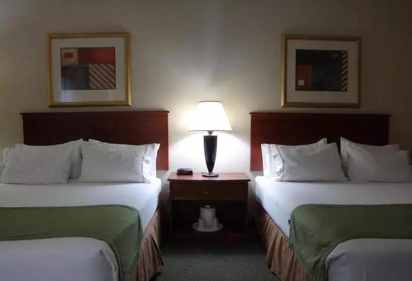 호텔 Windsor Inn & Suites