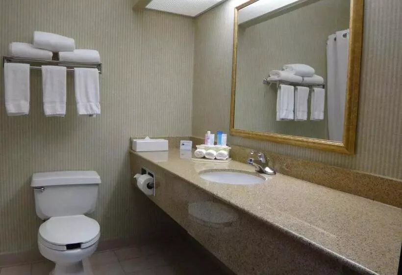 호텔 Windsor Inn & Suites