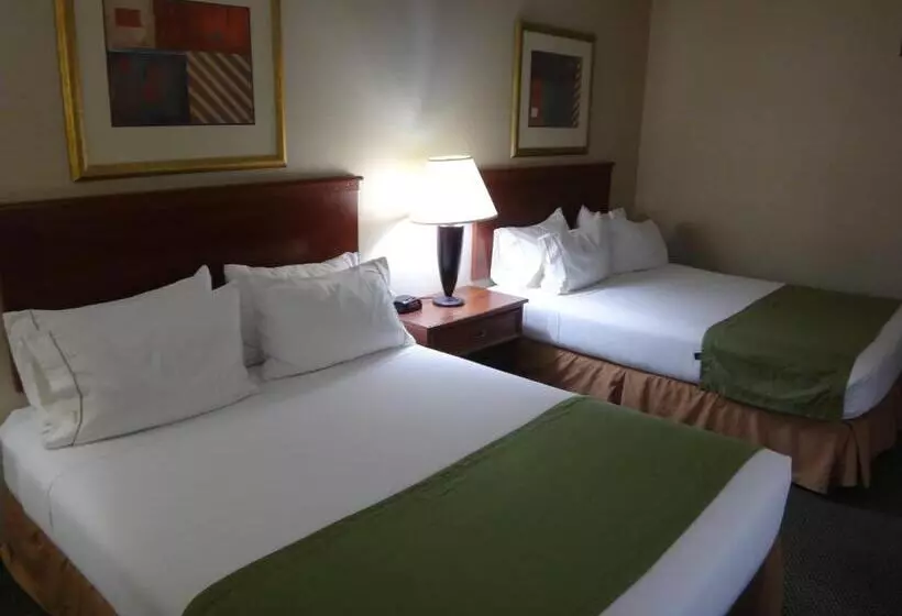 호텔 Windsor Inn & Suites