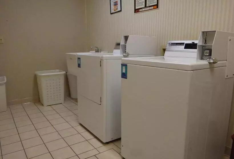 호텔 Windsor Inn & Suites