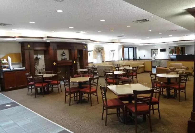 호텔 Windsor Inn & Suites