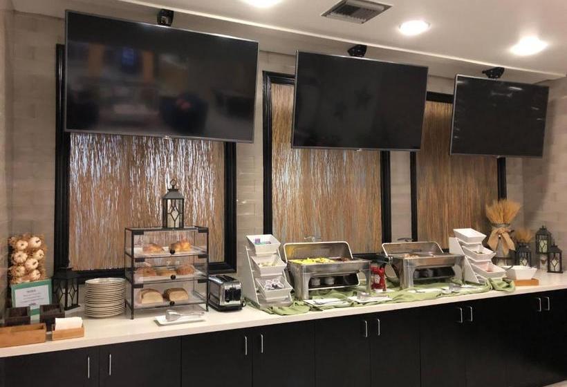 هتل Wyndham Garden Houston Willowbrook