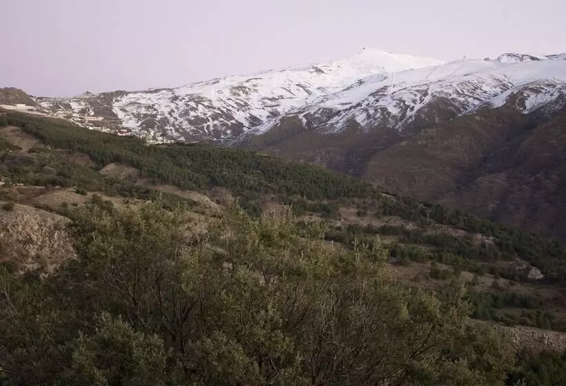 Edelweiss Sierra Nevada