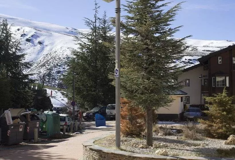 Edelweiss Sierra Nevada