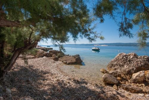 Duplex Apartment Sunny