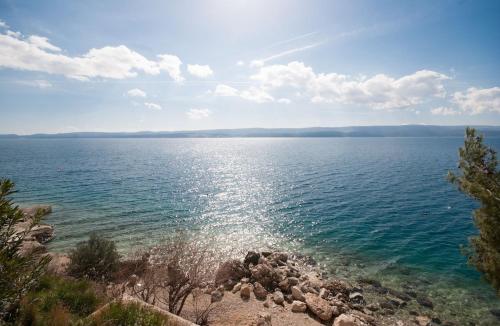 Duplex Apartment Sunny