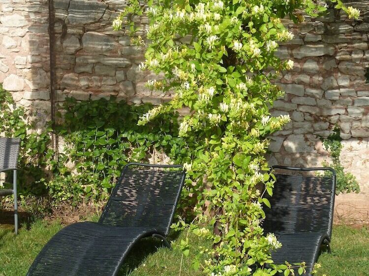 Bed and Breakfast Chateau De Clusors